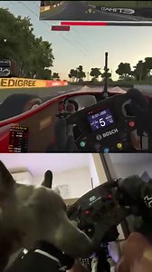 1.4M views · 53K reactions | We are very impressed with Lewis Tollan, who managed to drive an F3 car around Bathurst while his dog chewed his arm off | iRacing | Facebook