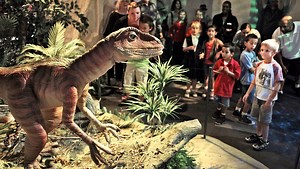 New dinosaur exhibit brings Oklahoma's prehistoric past to life