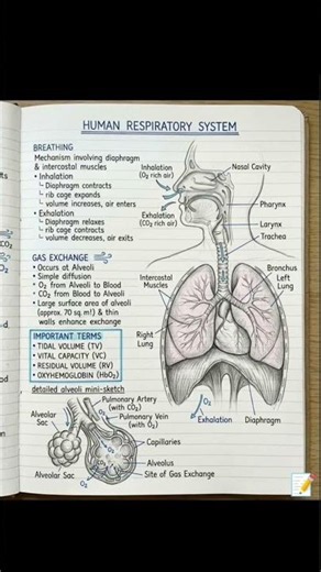 It's a super duper viral short. class 10th chapter 1 life process full diagram with explanation.....