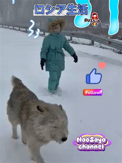 ロシア生活の魅力と楽しみ方