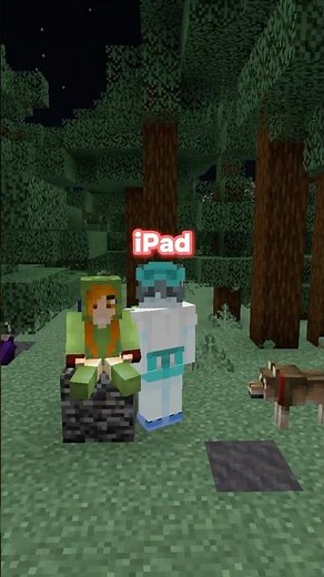 Can Java and Bedrock Play Together? #minecraft #mcserver #bedrock #minecraftserver