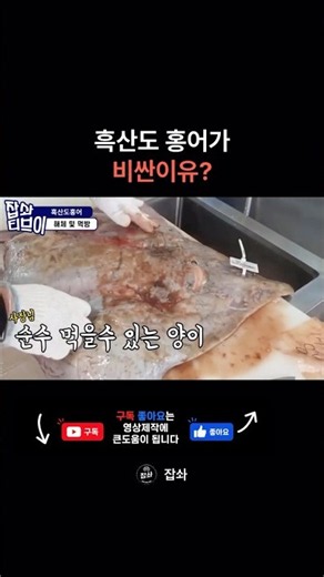 [흑산도 홍어 손질부터 먹방까지 EP. 2/8] 흑산도 홍어가 비싼이유?