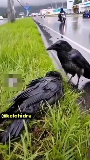 Any monitoring spirit, don't worry I've k!lled it 😌😒... this month is blessed 🙏🏻 #kelchidra #chidera_eze #KacTv #fyp #StrongerTogether #nocheating #EmpireBuilder #teamkelchidra #spp #sppfamily | Chidera Eze