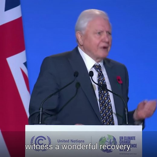 11K views · 739 reactions | ❤️ Sir David Attenborough has addressed world leaders at #COP26 with an urgent reminder that ALL nations must act to create a better, fairer world. Leaders: we’re watching  | The Climate Council | Facebook
