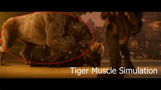 Tiger Muscle Sim Reel