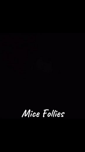 Mice Follies: Tom and Jerry's Hilarious Adventures