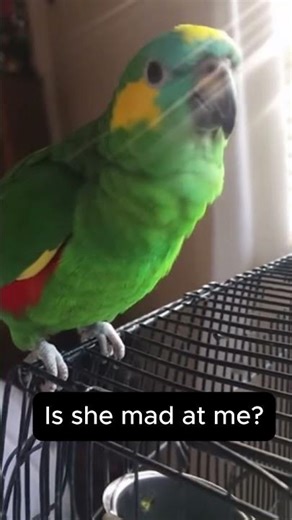 My Parrot Learned How to Scream... Now My House is a Horror Movie 😭