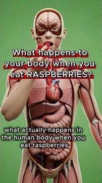 Raspberries: What happens to your body when you eat raspberries? Benefits and possible risks