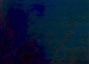 145K views · 3.4K reactions | 麗On July 17, 1987 “Jaws: The Revenge”...