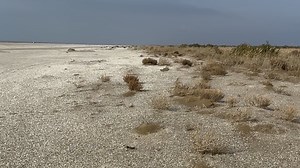 The Caspian Sea is disappearing as water levels plummet