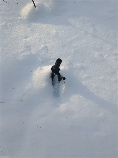 Ok, this freaked me out. Seeing a kids hoodie and a kids bike in a place no little kid would ever go unless they were lost. I searched around the bike a little and didn't find anything. This might be an over reaction but I'm feeling a lot of anxiety over this........what's under that snow? This is just feet from the river. #hike #forest #kids #anxiety #found
