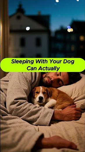Letting Your Dog Sleep in Bed? Here’s What Experts Say