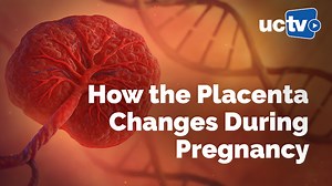 VIDEO: Single-Cell and Spatial Multi-Omic Insights into the Human Placenta (HUBMAP)
