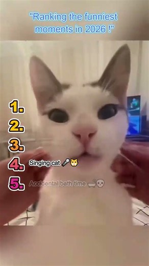 Top 5 Funniest Cat Fails of 2026: Accidental Bath Time! 😹 (Try Not To Laugh)#shorts #cats