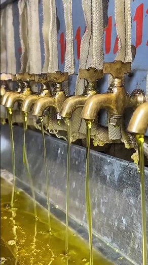 MUSTARD OIL MAKING PROCESS EXPLAINED 😱