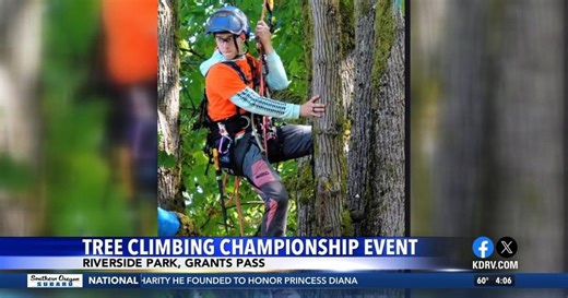 Grants Pass: Tree climbing championship event