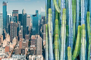 MicrosoftのAIの画像認識は優れもの。高層ビルがサボテンに見えても許してあげて