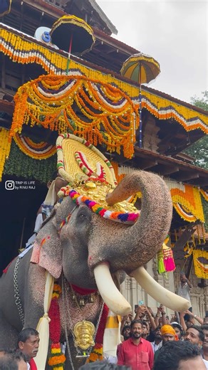 Thrissur Pooram 2026 Thechikottukavu Ramachandran Vadakkumnathan Temple Chembukkavu Bagavathy