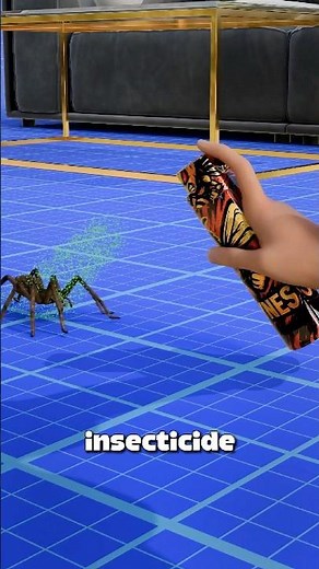 Why You Should Never Use Spider Spray 🕷️😱#insects #spiders #nature