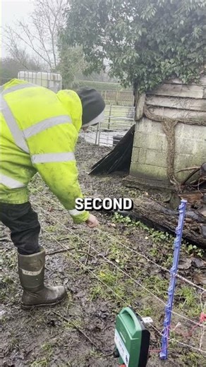 Funny electric fence shocks people #shorts #funny