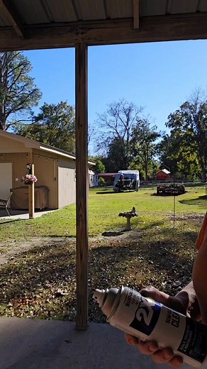 7.4K views · 115 reactions | Check out this Ladybug tumbler with lights 朗 #ladybug #fairylights #lights #custom | Dojes Designs LLC | Facebook