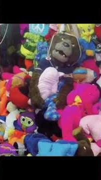 top 5 unexpected momen #shortvideo #memengakakkocak #funny #comedy