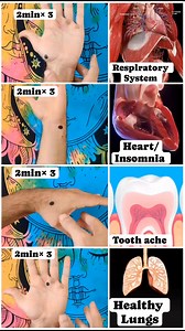 5.1M views · 26K reactions | Useful acupressure points ✅#acupressurepoints #acupuncture #acupressurepoints #acupressure #acupressurepoints #viralchallenge #hearthealth #healthylifestyle #usa #canada | Vedicyoga with Shivam | Facebook