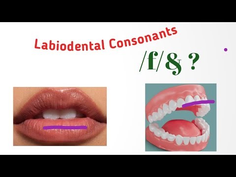 Labiodental Consonants in English| Labiodental Sounds in English #labiodental