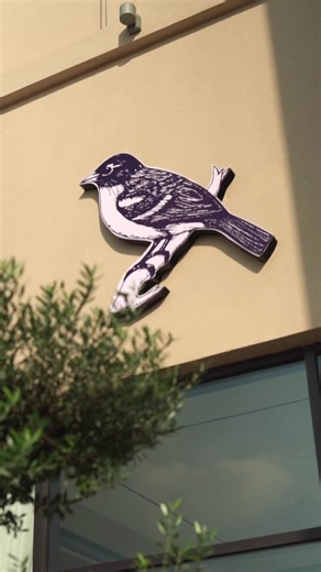 Savoring the Coffee Experience: Grind, Extract, Enjoy