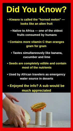 The Most Alien Fruit On Earth That Nobody Talks About 🍈😱