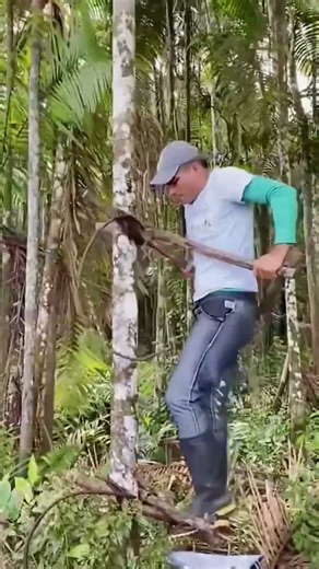 Homemade tree climbing machine to climb trees quickly! ~