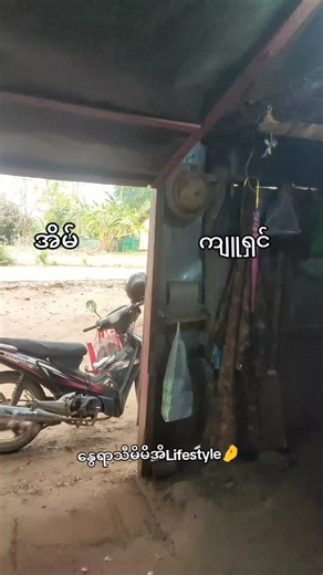 Summer Plan & Home Life