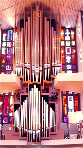 ORGAN MUSIC LIVE #churchorgan #liveorganmusic #organmusic #organperformance