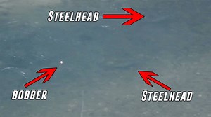 Have you checked out our YouTube! 🤘🎣 ✅New? Help us reach 20k subscribers! ► http://bit.ly/SUBSCRIBE-ADDICTED | Addicted Fishing