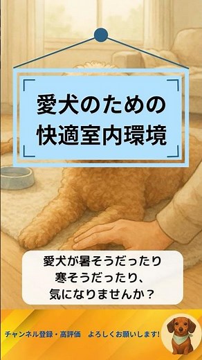 犬が快適に過ごせる室内環境の作り方｜温度・湿度・空間の工夫 #shorts #犬