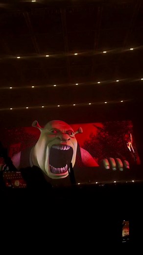 Crazy Shrek Visual Performance at Excision Concert