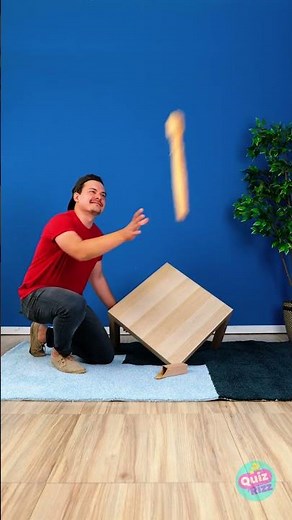 Quirky and exciting wooden decor ideas to try!