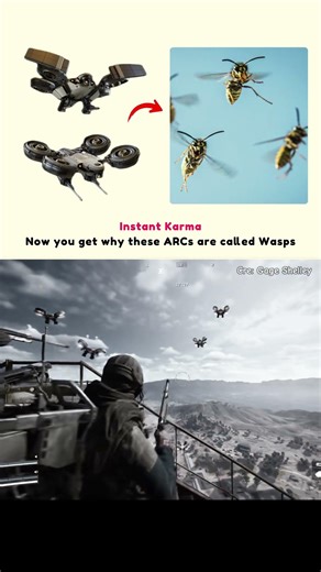 Wasps bring instant karma