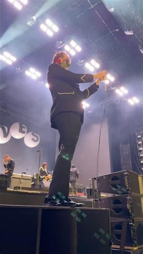 HPA + 🌹 = ❤️ #thehives #concert #rock