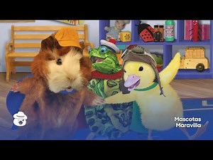 Mascotas Maravilla