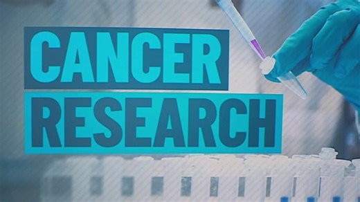 Bay Area cancer study in cats could pave way for human treatments