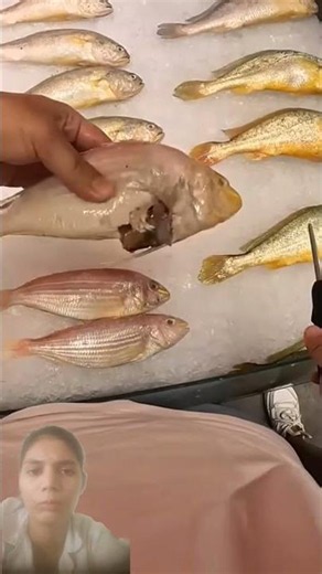 Smart Bait Trick! Revive Dead Bait Fish Anytime? 🎣 Amazing Fishing Hack