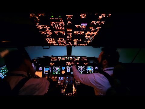 Flying In Extreme Weather Conditions | Heavy Snow | Boeing 737 Go Around Cockpit View
