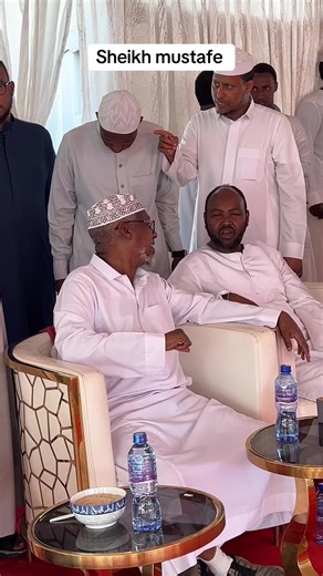 Sheikh Mustafe: Insights and Reflections