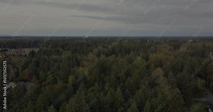 Aerial view of dense forest landscape under an overcast sky, suburban housing in the distance, Pacific Northwest, Washington State, USA.