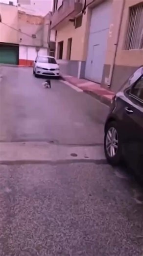 TimerYt (@timeryt1)’s videos with оригинальный звук - TimerYt