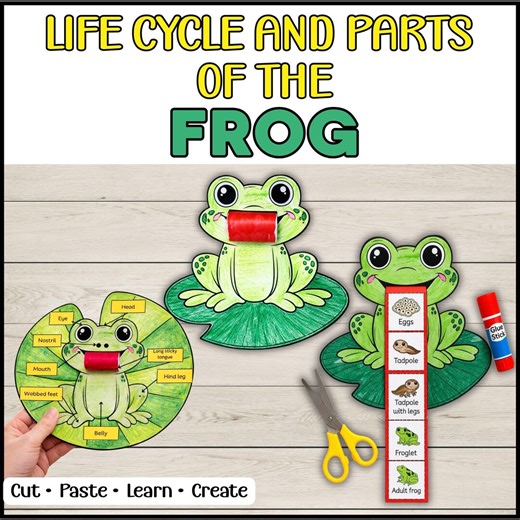 Frog Life Cycle and Parts Craft, Foldable Tongue Activity (digital Download) - Etsy