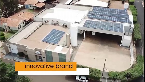 BellaBee Propolis Extract Liquid Supplement - Organic - Drops