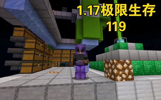 【我的世界】Java版1.17极限生存 119
