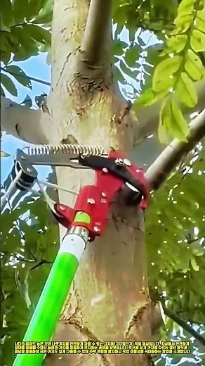 높은 나뭇가지 쉽게 자르는 고지톱 사용법 #worker #process #treecutting #gardening #tools